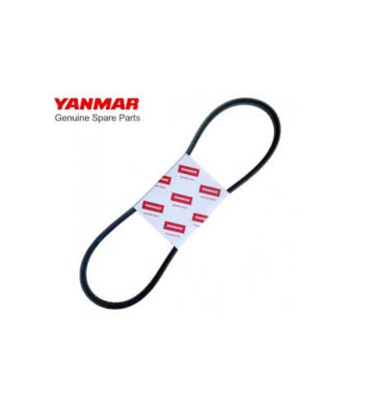 Yanmar Cinghia alternatore 25132004600